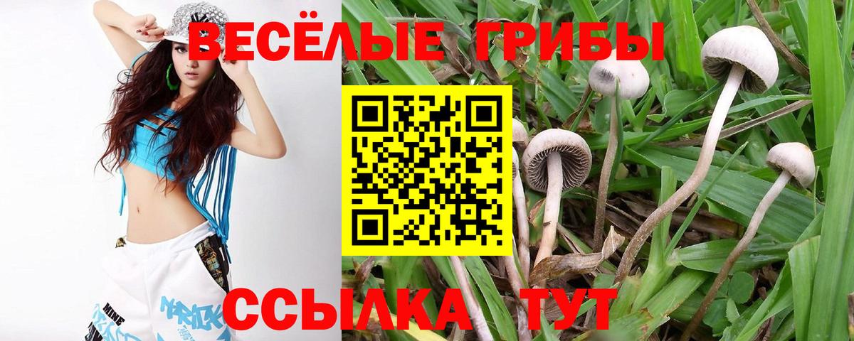 Галлюциногенные грибы GOLDEN TEACHER  Вход с VPN  Верхняя Пышма  как найти закладки  Галлюциногенные грибы мухоморы 
